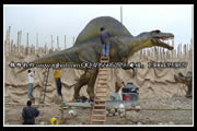 仿真棘龙，仿真恐龙，恐龙模型，恐龙展品，恐龙化石，恐龙骨架，恐龙雕塑制作。